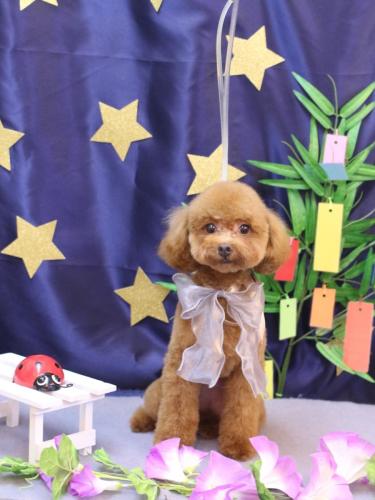 20230715このはちゃん